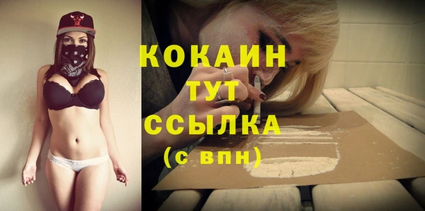 скорость Елизово