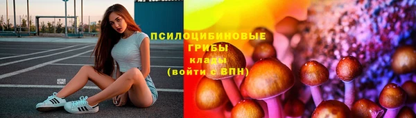 скорость Елизово