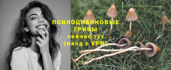 скорость Елизово