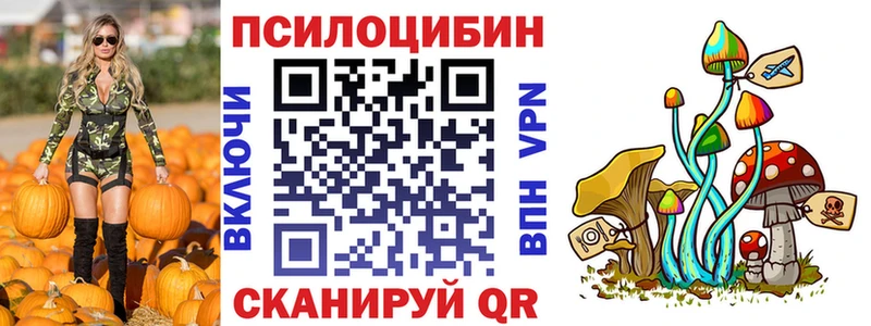 Купить закладки  Калтан  Псилоцибиновые грибы Psilocybe 